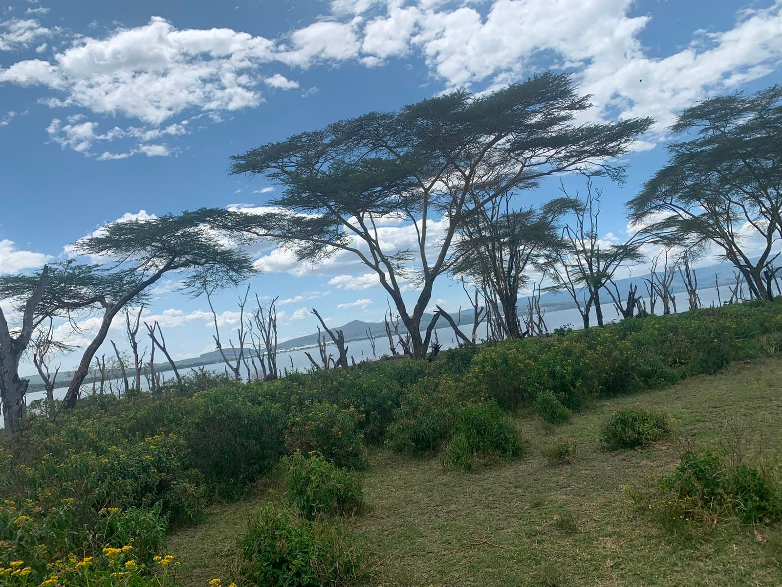 Lake Naivasha