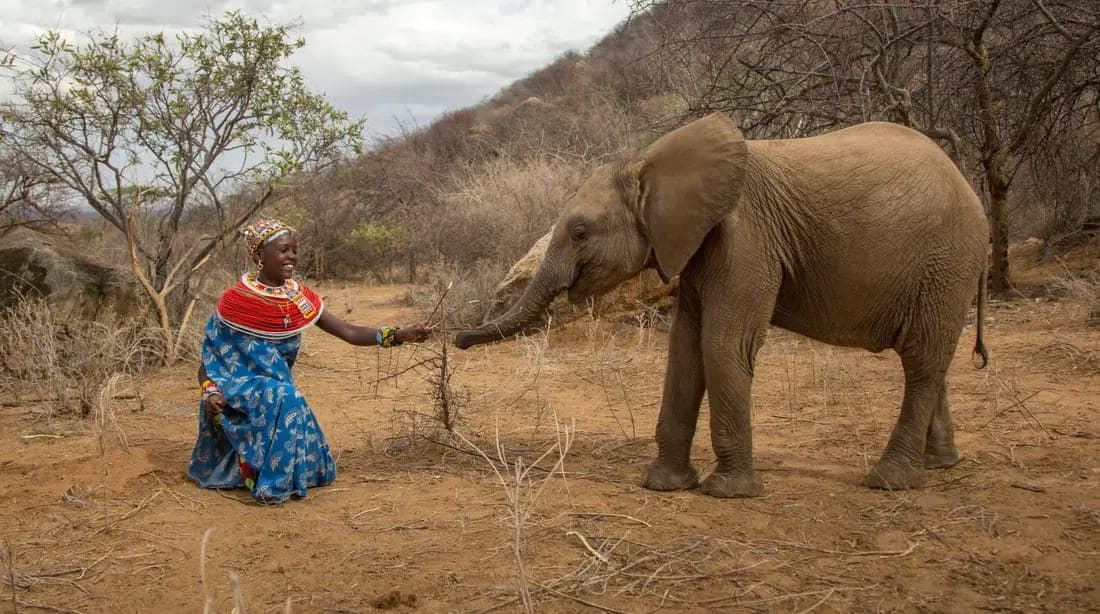 Samburu National Reserve